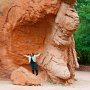 Garden of the Gods