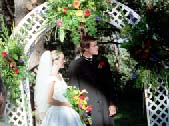 addywed108